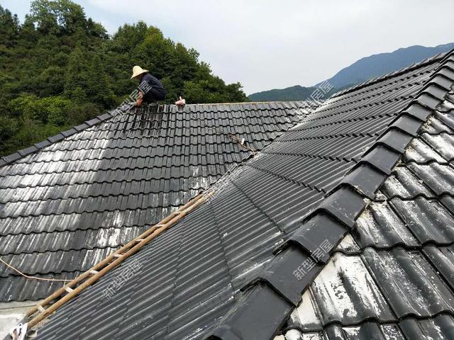 30元一平的樹脂瓦省錢又耐用？網(wǎng)友：吃飽沒事干，用一年就得換